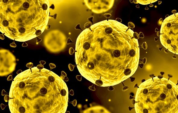 नायब तहसीलदारांसह दोन लिपीक कोरोनाबाधीत आढळले