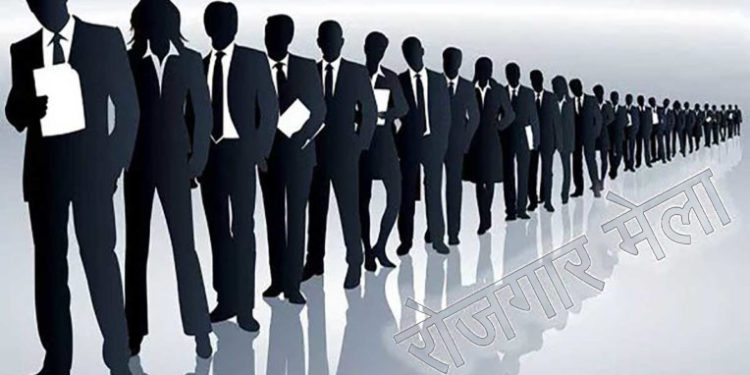 पंडित दिनदयाळ उपाध्याय रोजगार मेळाव्याचे आयोजन