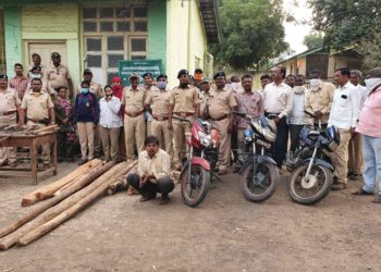 राखीव वनात अपप्रवेश करुन अवैध वृक्षतोड केल्याबद्दल दोघांना अटक