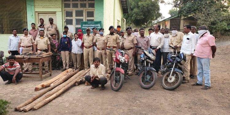 राखीव वनात अपप्रवेश करुन अवैध वृक्षतोड केल्याबद्दल दोघांना अटक