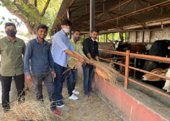 बाळासाहेब ठाकरेंच्या स्मृतिदिनानिमित्त युवसेनेतर्फे गोसेवा