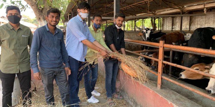 बाळासाहेब ठाकरेंच्या स्मृतिदिनानिमित्त युवसेनेतर्फे गोसेवा