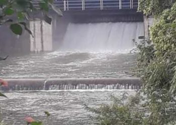 पाचोरा तालुक्यातील बहुळा धरणातून पाण्याचे आवर्तन सोडावे