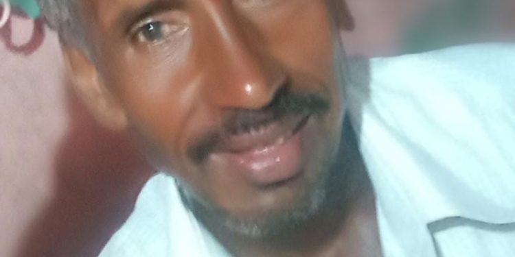 पाडळसा येथे मद्यमाशांच्या हल्ल्यात एका शेतकऱ्याचा मृत्यू