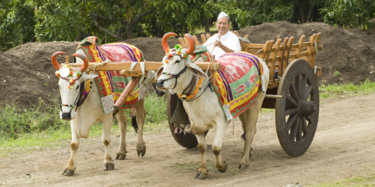 ‘सर्वकल्याणम समतत्त्व' जपणारे भाऊंचे प्रेरणातीर्थ