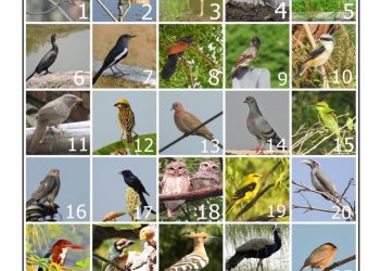 चला ! २०२१ नव्या वर्षाचे स्वागत करू या !