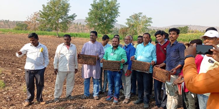 आदिवासी शेतकऱ्यांना मधुमक्षिका पालन प्रशिक्षण