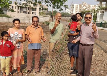 मरणासन्न झाडाला दिले जीवदान