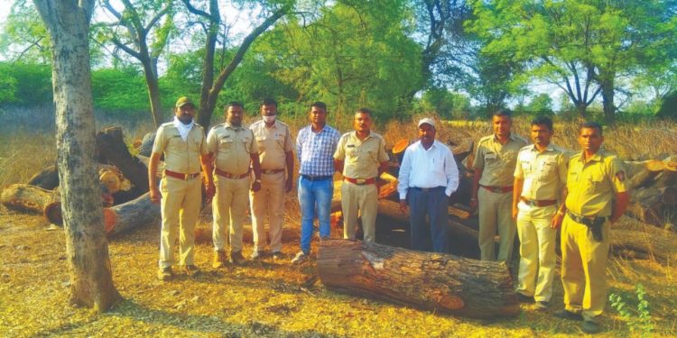 यावल वन विभागाच्या कारवाईत 13 घनमीटर लाकूड व आरायंत्र जप्त