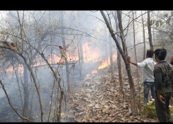 जंगलात आग लावणा-यांचा शोध घेण्यासाठी ड्रोन कॅमे-याची मदत घेणार
