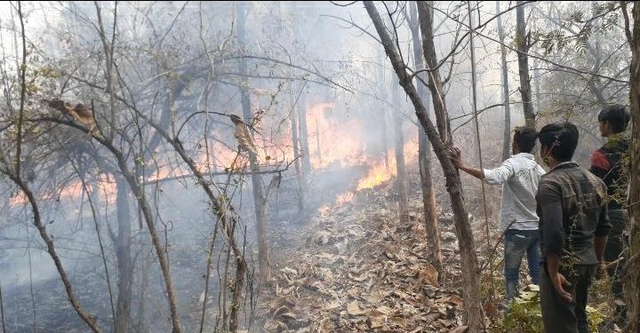 जंगलात आग लावणा-यांचा शोध घेण्यासाठी ड्रोन कॅमे-याची मदत घेणार
