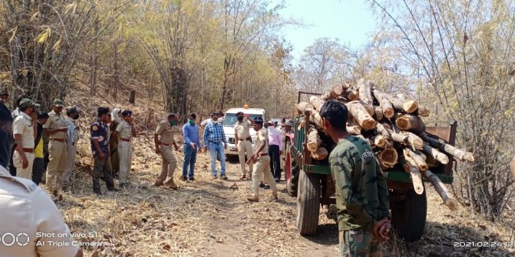 देवझिरी वनक्षेत्रात सागवान तस्कराकडूंन हल्ला