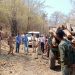 देवझिरी वनक्षेत्रात सागवान तस्कराकडूंन हल्ला