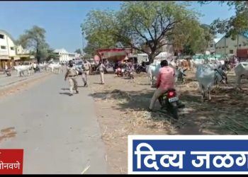 … अन पोलिसाना पाहून शेतकऱ्यांची पळापळ ( व्हिडीओ )