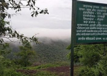 यावल वन्यजीव अभयारण्य 30 एप्रिलपर्यंत पर्यटनासाठी राहणार बंद