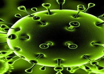 जिल्ह्यात आज १०४८ रुग्ण कोरोनाबाधीत आढळले, २१ जणांचा मृत्यू