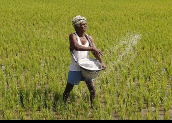 बियाणे, खते आणि किटकनाशकांच्या नियंत्रण कक्ष स्थापन