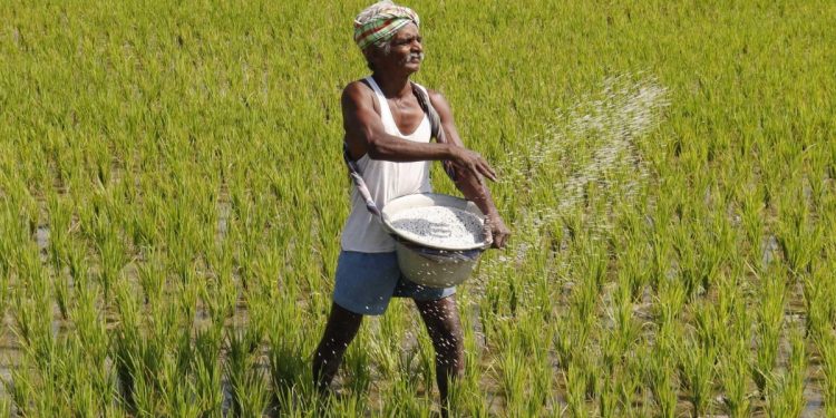 बियाणे, खते आणि किटकनाशकांच्या नियंत्रण कक्ष स्थापन