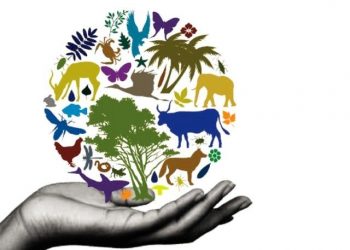 आंतरराष्ट्रीय जैवविविधता दिवसानिमित्त राज्यस्तरीय ऑनलाईन स्पर्धांचे आयोजन