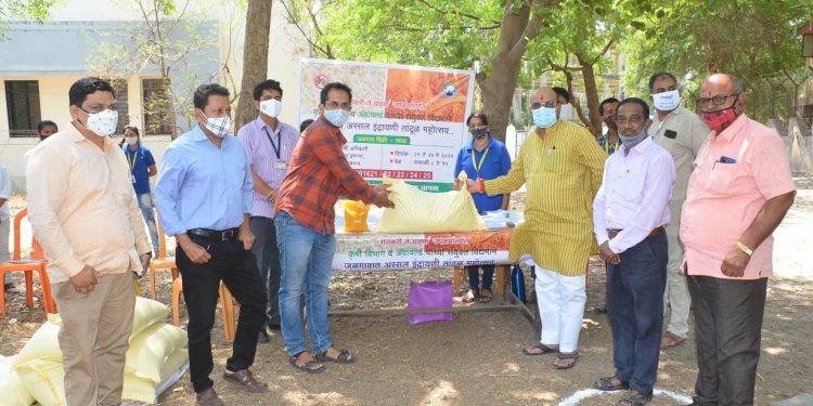 पालकमंत्री गुलाबराव पाटील यांच्या हस्ते तांदूळ महोत्सवाचे उद्घाटन