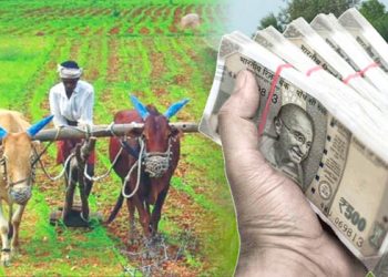 प्रधानमंत्री किसान सन्मान निधी योजनेची रक्कम शेतकऱ्यांची खात्यावर हस्तांतरीत – कृषी आयुक्त धीरजकुमार