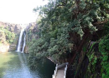 यावल अभयारण्य पर्यटकांसाठी खुले