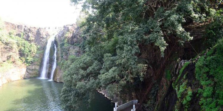 यावल अभयारण्य पर्यटकांसाठी खुले