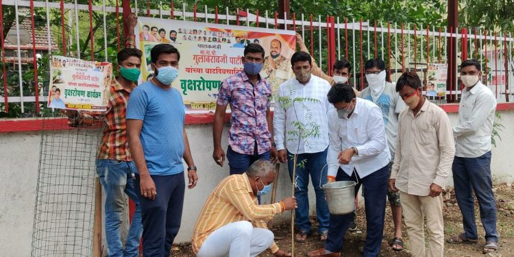 पालकमंत्री यांच्या ५५ व्या वाढदिवसानिमित्त ५५ वृक्षांचे रोपण