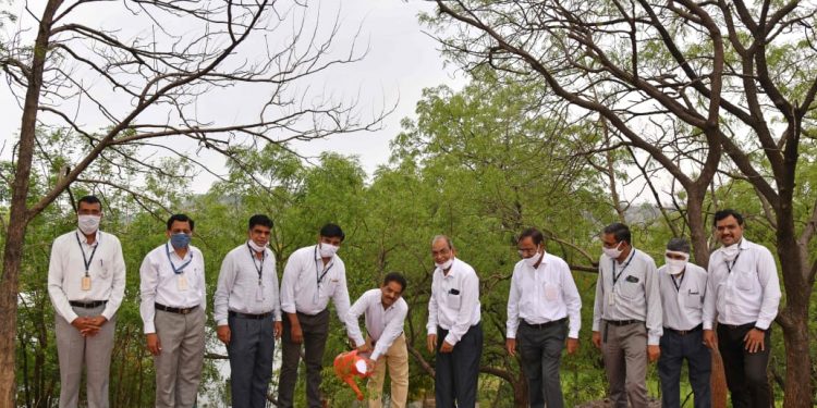 पर्यावरणदिनी जैन इरिगेशनच्या विविध आस्थापनांमध्ये वृक्षारोपण