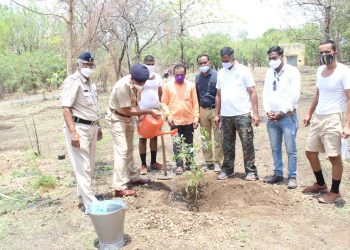 मौलाना आझाद अल्पसंख्याक फाऊंडेशनतर्फे वृक्षारोपण