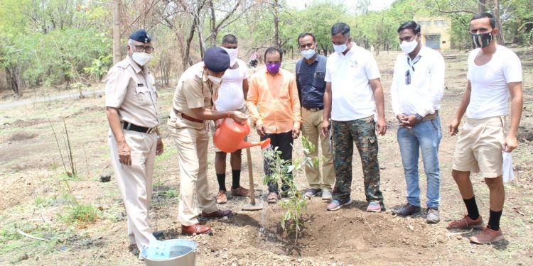 मौलाना आझाद अल्पसंख्याक फाऊंडेशनतर्फे वृक्षारोपण