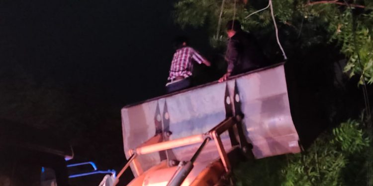 भयाण रात्र..मधाचे पोळे..पाऊस..तरीही खंडित वीज पुरवठा केला सुरळीत (व्हिडिओ)