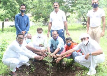 मौलाना आझाद अल्पसंख्याक फाऊंडेशनच्यावतीने वृक्षारोपण