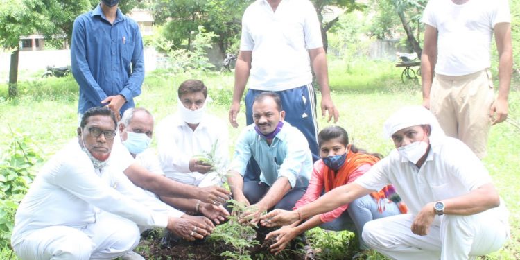 मौलाना आझाद अल्पसंख्याक फाऊंडेशनच्यावतीने वृक्षारोपण