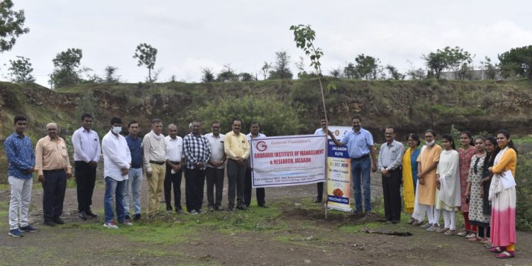 गोदावरी आयएमआर महाविद्यालयातर्फे एमआयडीसी परिसरात वृक्षारोपण