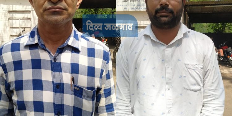 अमळनेर येथील बांधकाम विभागाच्या उपविभागीय अभियंत्यासह कनिष्ठ अभियंत्याला लाच घेतांना अटक