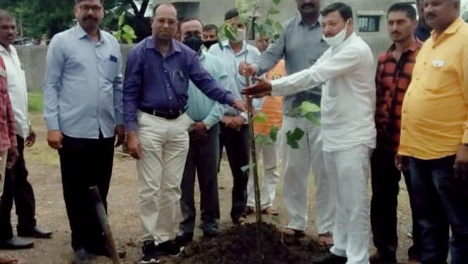 जिल्हा परिषद शाळेत जागतिक वृक्ष संवर्धन दिनानिमित्त वृक्षारोपण