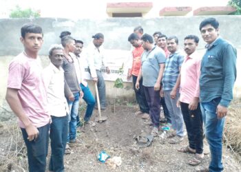 बचत गटांच्या माध्यमातून वृक्षसंवर्धन