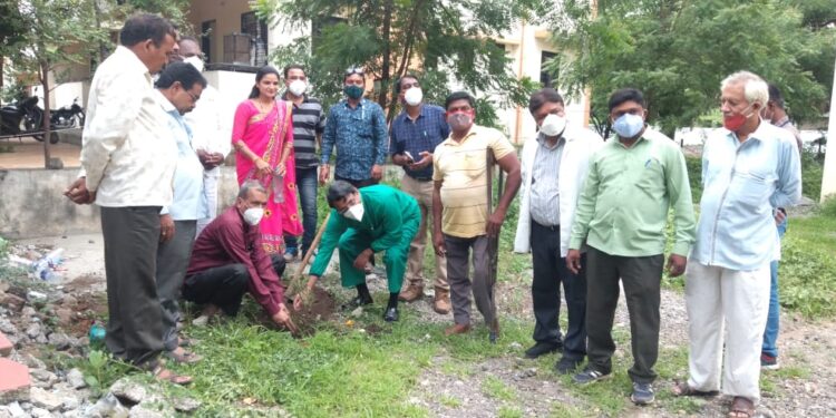 संघर्ष दिव्यांग कल्याण बहुउद्देशीय संस्थेतर्फे वृक्षारोपण