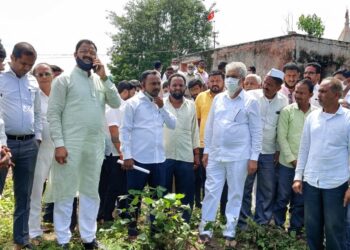 शेती नुकसानीच्या पंचनाम्यांची कार्यवाही तातडीने पूर्ण करावी - कृषीमंत्री