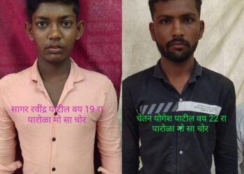 पारोळा येथील दोन मोबाईल चोरट्यांना स्थानिक गुन्हे शाखेने केले जेरबंद