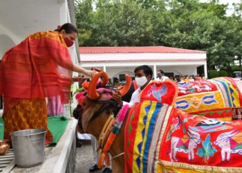 जैन हिल्सवर प्रातिनिधीक पोळा साजरा-(व्हिडिओ)
