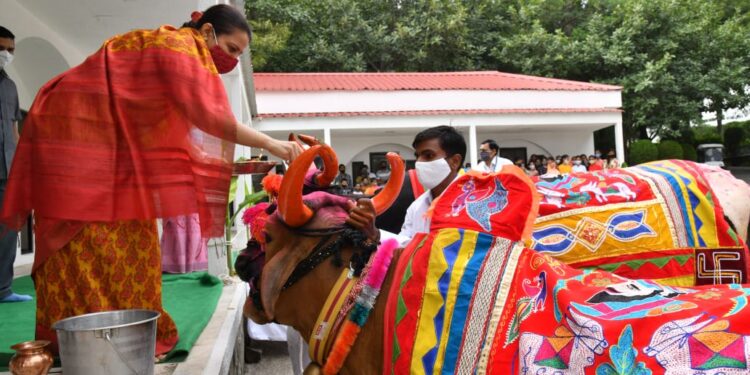 जैन हिल्सवर प्रातिनिधीक पोळा साजरा-(व्हिडिओ)