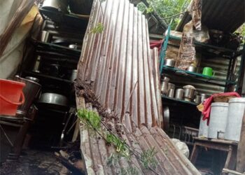 वादळी पावसाने झाड कोसळून रंगकर्मी संजय निकुंभ यांचे घर पडले