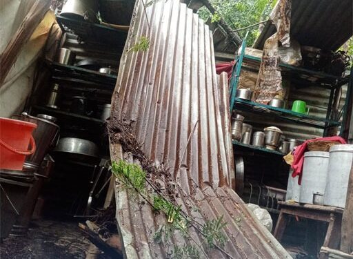 वादळी पावसाने झाड कोसळून रंगकर्मी संजय निकुंभ यांचे घर पडले