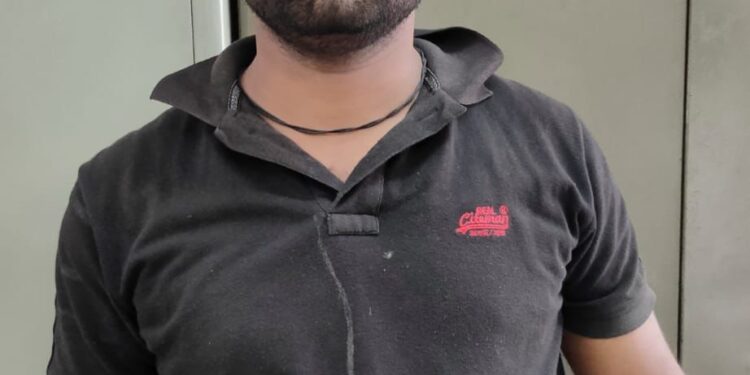 दिवसा कपडे प्रेस अन् रात्री बंद घरांमध्ये घरफोड्या करणाऱ्याला अटक