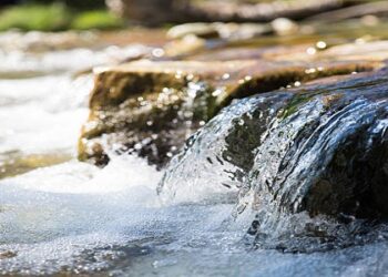 घोडसगाव बंधाऱ्यांची भिंत वाहून गेली