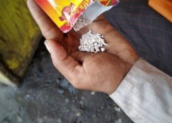 जळगावला येणारा ४२ लाखांचा गुटखा जप्त