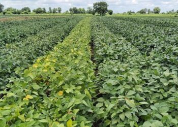 उन्हाळी हंगामातील पिकांसाठी 15 एप्रिलपर्यंत पाणी अर्ज करावेत