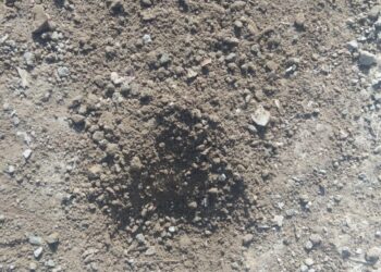 यावल,रावेर तालुक्यात सिंचन विभागात अत्यंत निकृष्ट प्रतीची बांधकाम